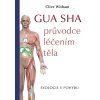 gua sha pruvodce leceni telem obalka resize