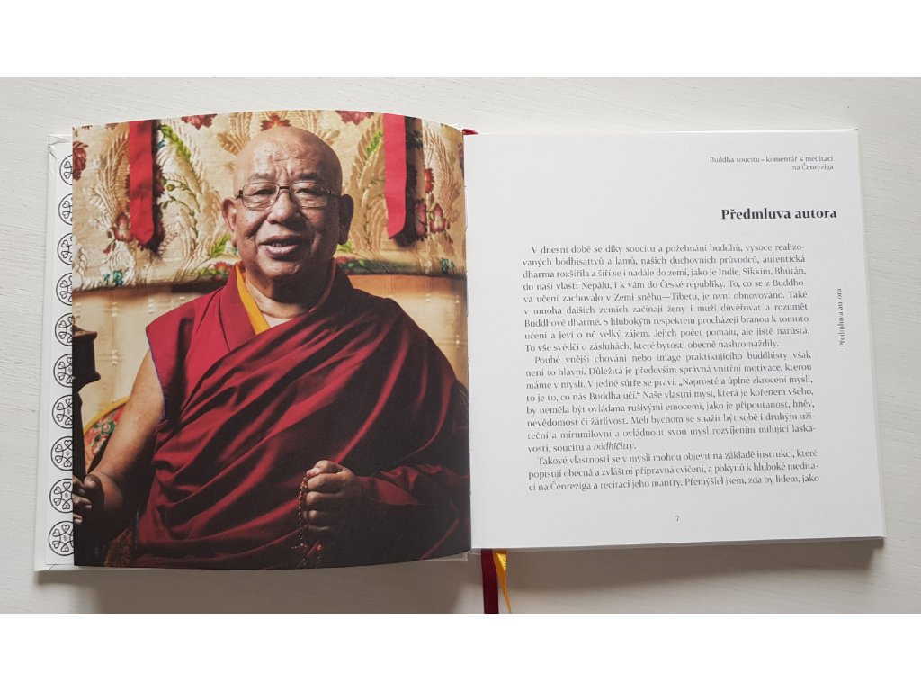 Kniha Buddha soucitu