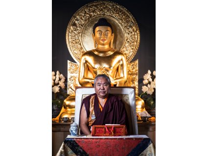 TKP THE DHARMA STUDIO Nedo Rinpoche THRONE (No logo) 2