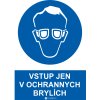 3602 vstup jen v ochrannych brylich en cz or de