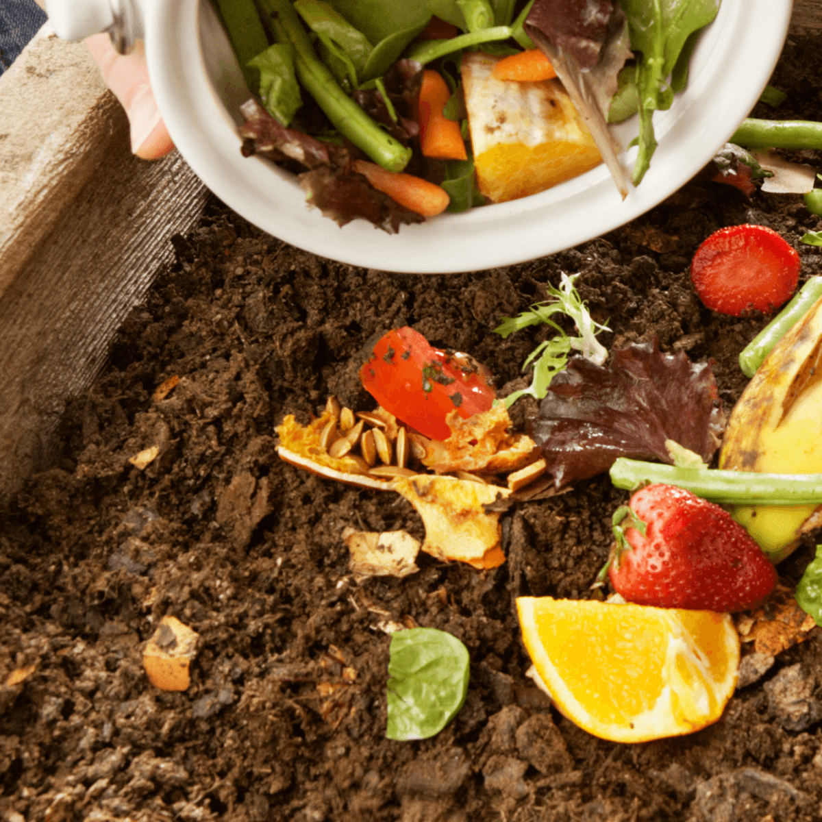 Kompost jako profík: Co dovnitř, co ne a jak urychlit rozklad