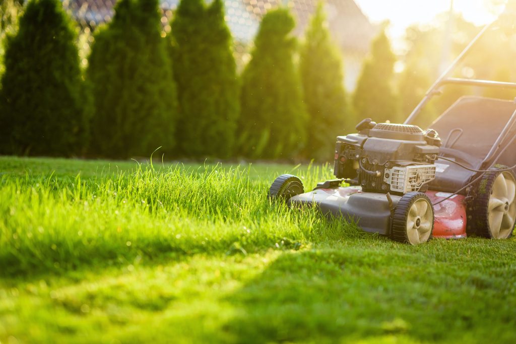 When-to-Start-Mowing-in-the-Spring-1024x683
