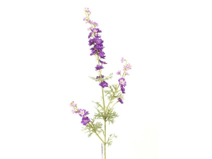 Delhhinium 82 cm fialové