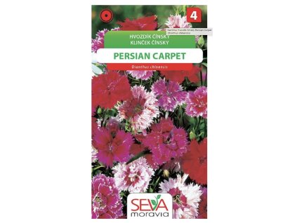 Snímek obrazovky 2025 11 08 v 11.58.06