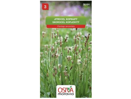 Snímek obrazovky 2025 11 08 v 12.05.00