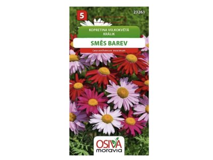 Snímek obrazovky 2025 11 08 v 12.07.08