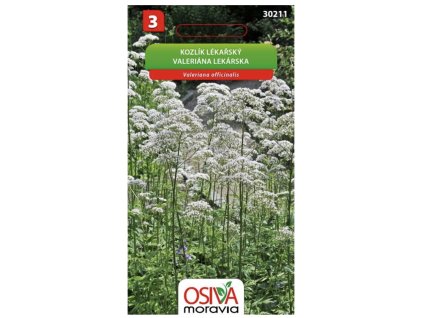 Snímek obrazovky 2025 11 08 v 12.45.42