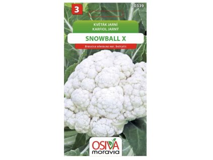 Snímek obrazovky 2025 11 08 v 13.14.05