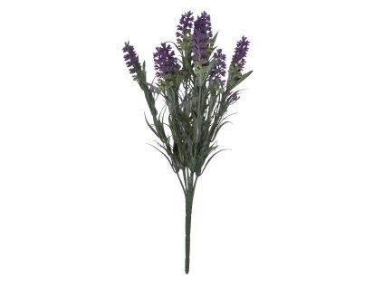 Snímek obrazovky 2025 11 11 v 10.03.45