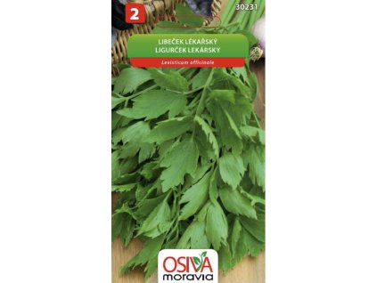 Snímek obrazovky 2025 11 10 v 11.14.40