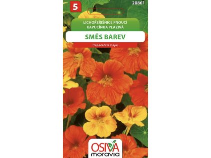 Snímek obrazovky 2025 11 10 v 11.13.07