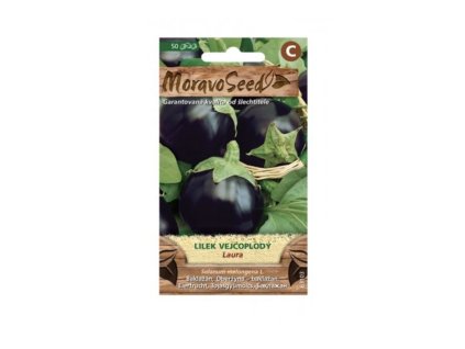 Snímek obrazovky 2025 11 10 v 11.08.20