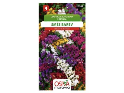 Snímek obrazovky 2025 11 10 v 11.06.17