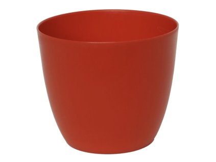 Snímek obrazovky 2025 11 10 v 13.01.34