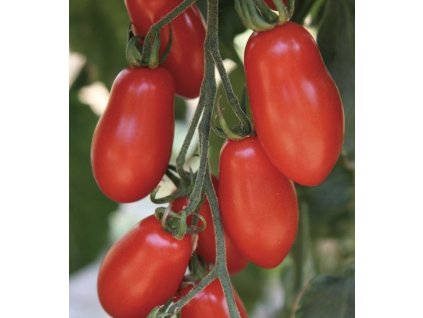 Snímek obrazovky 2025 11 10 v 10.41.53