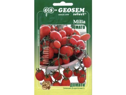 Snímek obrazovky 2025 11 10 v 10.40.11