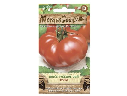 Snímek obrazovky 2025 11 10 v 13.35.03