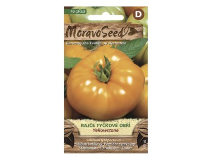 Snímek obrazovky 2025 11 10 v 13.32.10