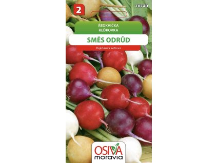 Snímek obrazovky 2025 11 10 v 10.01.16