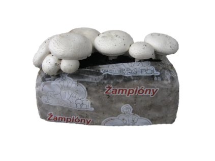 Snímek obrazovky 2025 11 10 v 9.49.34