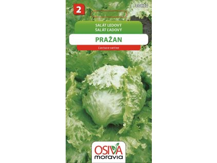 Snímek obrazovky 2025 11 10 v 9.36.52