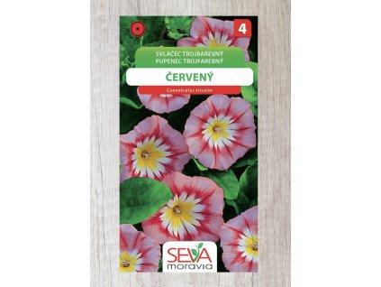 Snímek obrazovky 2025 11 09 v 11.06.51