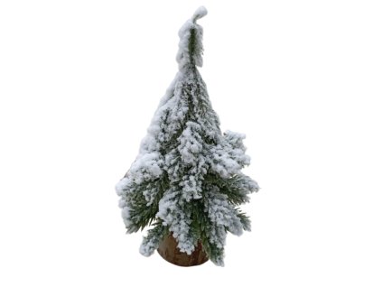 Snímek obrazovky 2025 11 08 v 11.12.39