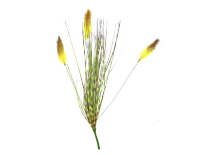 Snímek obrazovky 2025 11 08 v 9.57.36