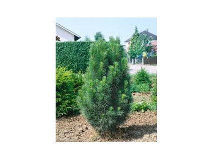 0b226c450798410ac541646c86ec31afd840e5beab817a5d84fa821e7db61981ec84c3b4a3f072a7a2e1899c9fb06c6ec34b4864c97bd13ddac1ca048d3a131e43d7a8136fef997bb5877f2259a960885f83c97a12f90b8c0d5b1b4b591013c94bf25c067985e896ca9db196d16d81c8