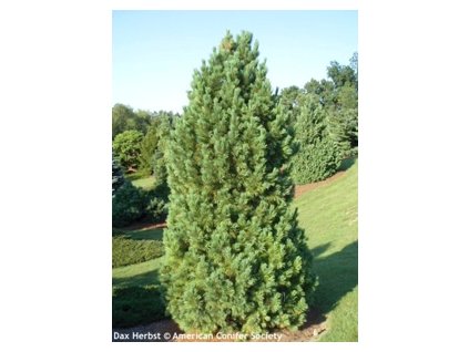 589d71fc 0a34 5b5d 9775 cf999c5a8314 1