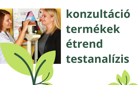 konzultace