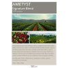 Zrnková káva AMETYST 100% arabica NEBE-SKY.CZ