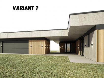 Vizualizacie exterier, 3D vizualizacia, návrh exterier, návrh fasády, 3D vizualizacia domu, lamelová fasada
