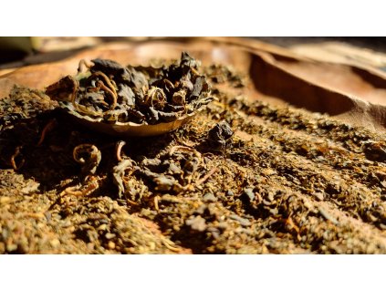 Sakurabacha (oolong sypaný)