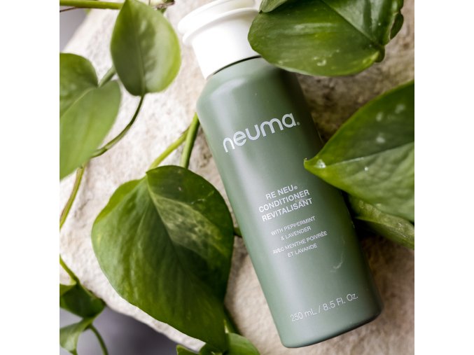 neuma reneu conditioner