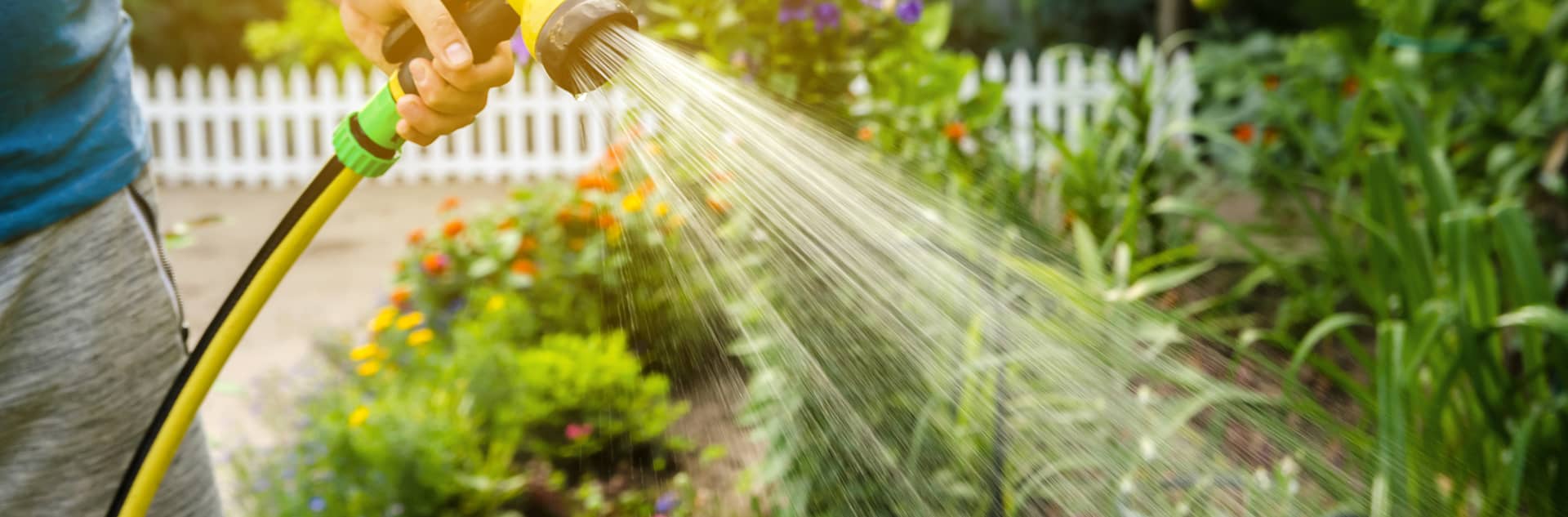 ČISTÁ A ZDRAVÁ VODA