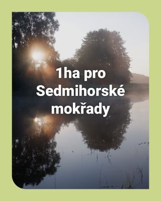 @ochranciprirody se podařilo vykoupit - i díky naší pomoci - další hektar Sedmihorských mokřadů. Další @mistoproprirodu ,...