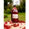 Červený rybíz s pomerančovou kůrou 540 ml