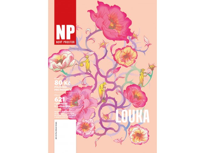 NP24 621 titul