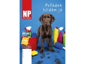 656NP titul