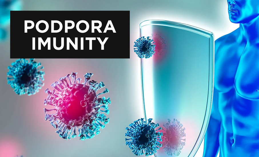 podpora imunity