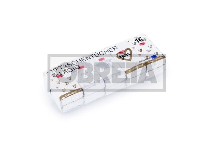 Kapesníky papírové 2vrstvé, 100 ks v boxu, bílé