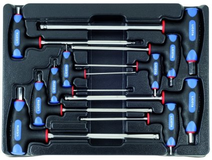 T-IMBUS klíče, 10 dílů ve výplní do dílenského vozíku - LIACK382002