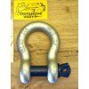HA2 High-Strength Omega Shackle with Screw Pin, Galvanized