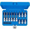 Sada nástrčných klíčů, Torx, 1/4", 1/2", T10 - T60, 18 ks - B5173