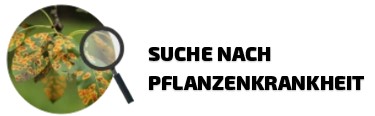 Suche nach Pflanzenkrankheit