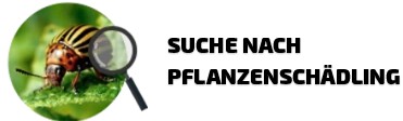 Suche nach Pflanzenschädling
