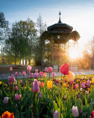 Procházka jarní Olomoucí... Jen jít a vnímat všechny ty barvy a vůně kolem 🌷🌞🌷 . . A spring stroll through Olomouc Imagine...