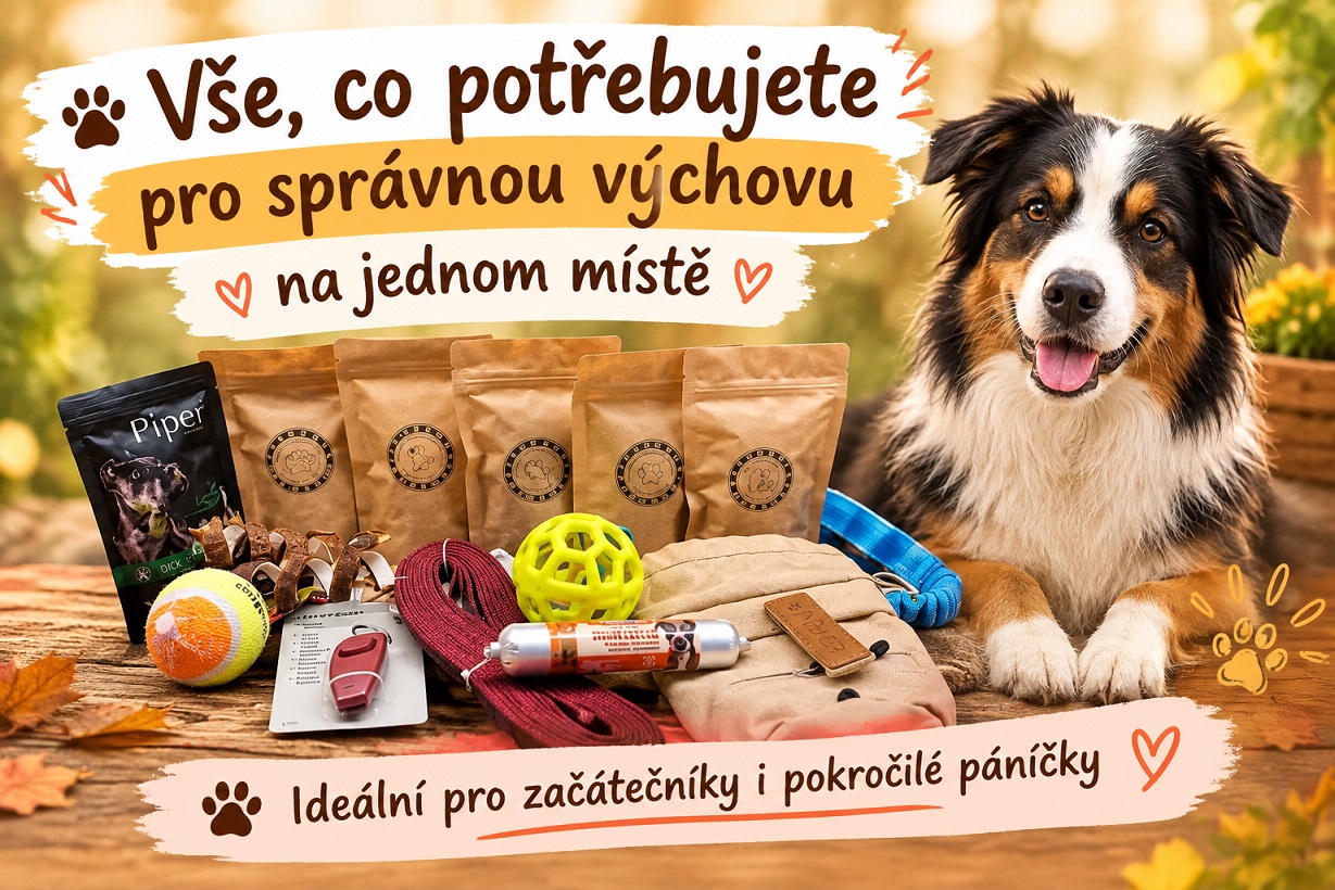 výchovný balíček