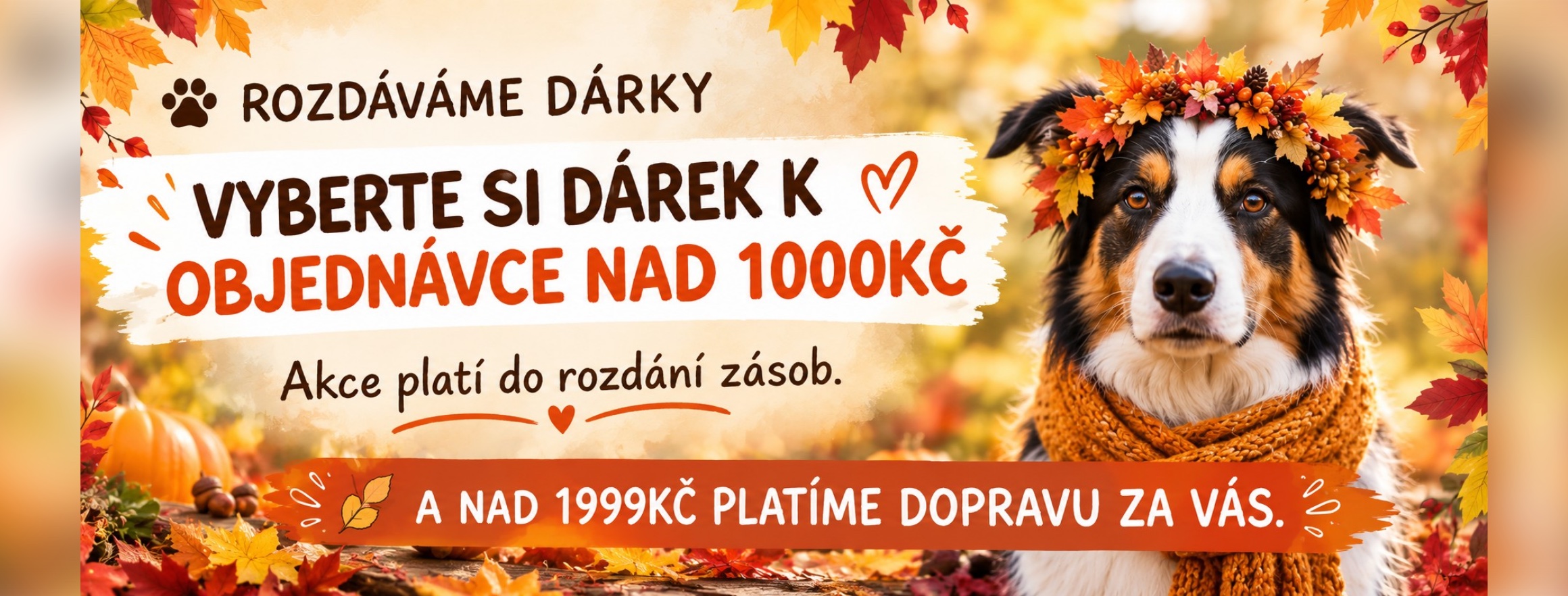 Získáte 10% slevu a skvělou psí kuchařku zdarma